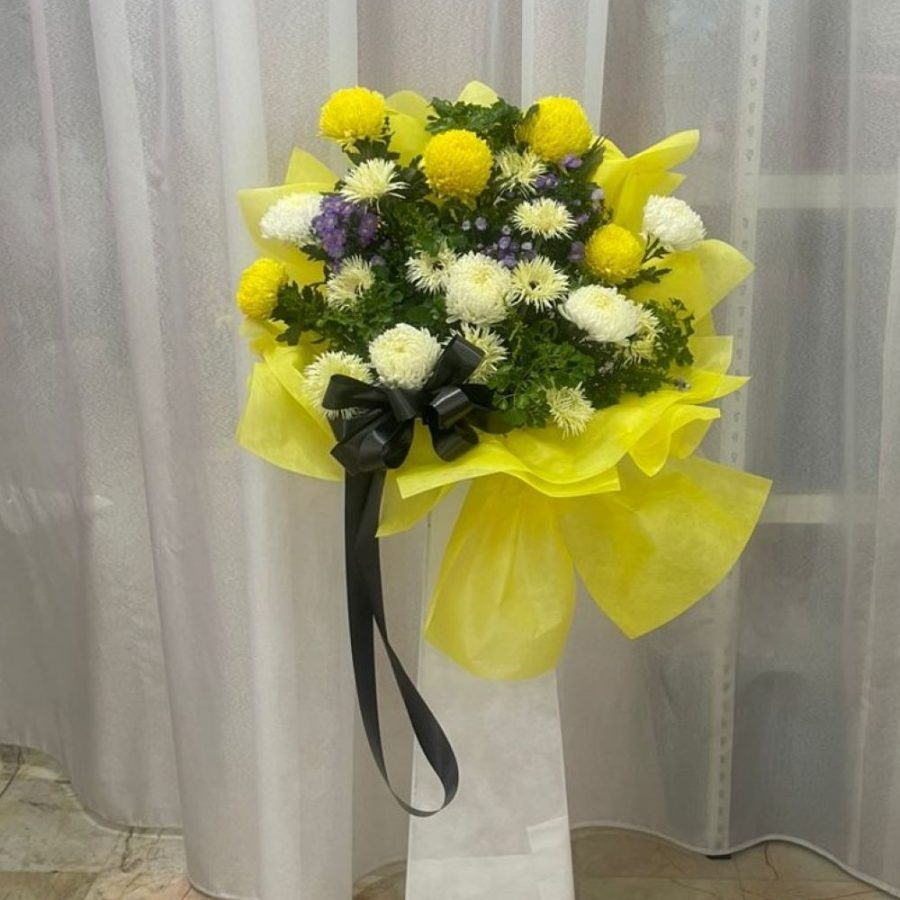 WhatsApp Image 2023-04-24 at 17.02.10