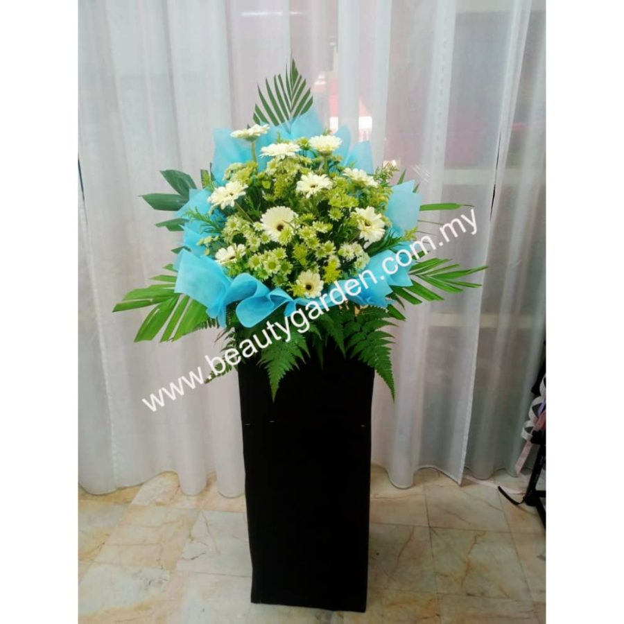 WhatsApp Image 2023-05-01 at 10.23.24 (1)
